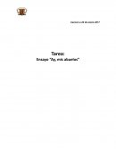 ENSAYO AY MIS ABUELOS