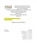 UNIDAD CURRICULAR: INVESTIGACIÓN PENAL