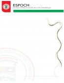 Fases de la Auditoria “Ejecución”