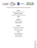 PRÁCTICA: Aplicación de los 9 enfoques en la escuela