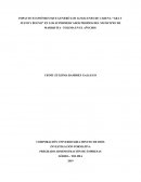 PROYECTO DE INVESTIGACIÓN ARA Y JUSTO Y BUENO