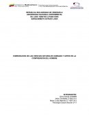 COMPARACION DE LAS CIENCIAS NATURALES HUMANAS Y ARTES EN LA COMPRENSION DEL HOMBRE