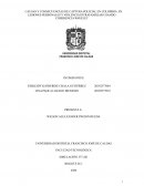 CAUSAS Y CONSECUENCIAS DE CAPTURA POLICIAL EN COLOMBIA EN LESIONES PERSONALES Y VIOLENCIA INTRAFAMILIAR USANDO COHERENCIA WAVELET
