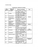 Gestion del riesgo proyecto