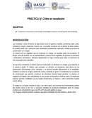 Practica IV chiles en escabeche