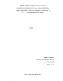 ¿Qué partes conforman las páginas Jimdo?