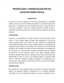 PRODUCCION Y COMERCIALIZACION DEL CACAO EN SANTA CECILIA