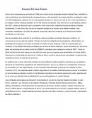 Ensayo del caso Enron