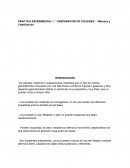 REPORTE PARA PRACTICA SOBRE COLOIDES