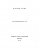 ROL DEL PSICOLOGO EN COLOMBIA