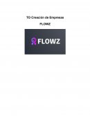 TO Creación de Empresas FLOWZ