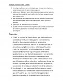 Trabajo practico sobre “1984”