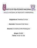 Analisis amar la vida