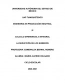 CALCULO DIFERENCIAL E INTEGRAL LA SEDUCCIÒN DE LOS NUMEROS