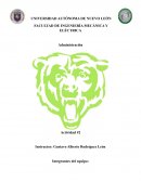 En que area de una empresa puede trabajar un ima