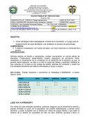 GUIA DE TRABAJO ED. FISICA EN CASA