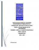 LISTADO (MODELOS DE ENFERMERIA)