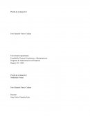 TEORIAS ADMINISTRATIVAS. Estrategias de una empresa mediana