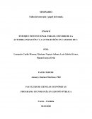 ENFOQUE INSTITUCIONAL PARA EL ESTUDIO DE LA AUTOORGANIZACIÓN Y LA AUTOGESTIÓN EN CASOS DE RUC