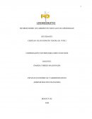 INFORME SOBRE LOS AMBIENTES VIRTUALES DE APRENDIZAJE