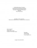 HISTORIA Y EVOLUCION DEL PROCESO DE INDEPENDENCIA Y SOBERANIA DE VENEZUELA