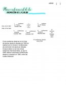 Marco referencial promocion de la slaud