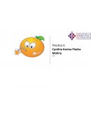 Ácido ascórbico, Bioquímica Practica 6