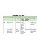 Esquema de la fase 1
