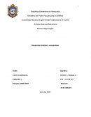 RESISTENCIA INDÍGENA HECHOS MÁS RESALTANTES