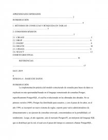 Lenguaje estructurado de consulta PostgreSQL. Página 1