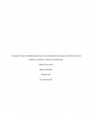 Impacto Ambiental. Produccion limpia