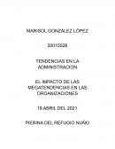 EL IMPACTO DE LAS MEGATENDENCIAS EN LAS ORGANIZACIONES