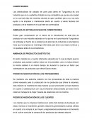 Análisis interno de una empresa