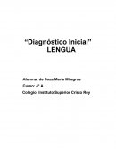 Trabajo de investigacion. Diagnóstico Inicial