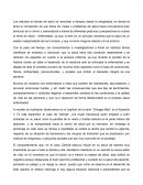 ENSAYO - SALUD Y ENFERMEDAD