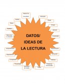 Reporte de lectura dinamica el apando