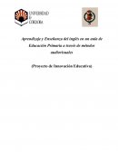 Aprendizaje y Enseñanza del inglés en un aula de Educación Primaria a través de métodos audiovisuales