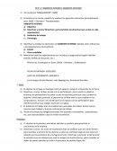 Armagedon pelicula, contexto interno e externo, clasificación de organizaciones