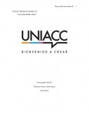 Ensayo Microeconomía S2