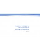 Dirección y Liderazgo de Organizaciones de Excelencia Operacional