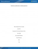 Elección de un problema ético en el ámbito organizacional