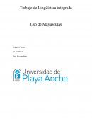 Ensayo sobre la Mayúscula