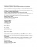 Innovación: capacidad de mejoras tecnológicas en producto o servicio