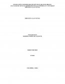 IMPUESTO A LAS VENTAS