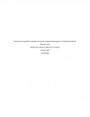 Renta líquida imponible e impuesto de primera categoría bajo régimen de tributación atribuido