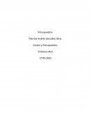 Costos y Presupuestos empresa Hermanos García