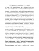 ENTENDIENDO LA SOCIEDAD CON ABEJAS