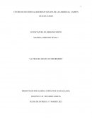 La vida del delito o itercriminis