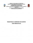 RESISTENCIA CAMPESINA