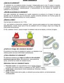 Guía Colesterol